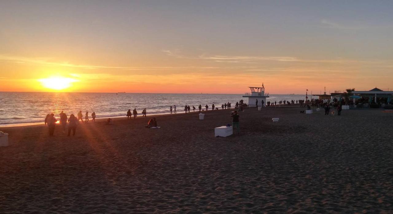 From Ostia Beach To Rome & Airport In A Heartbeat! Экстерьер фото